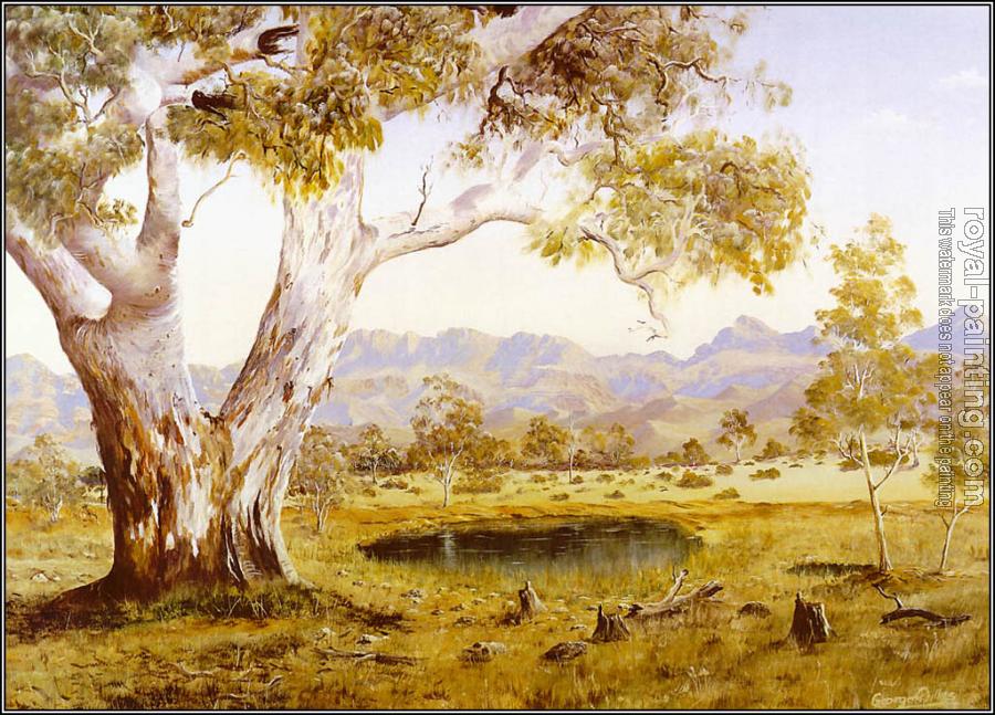 George Phillips : Landscapes Of Australia VIII